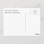 インスピレーション聖なる書物、 経典はがきディアカーズコーブ ポストカード (裏面)