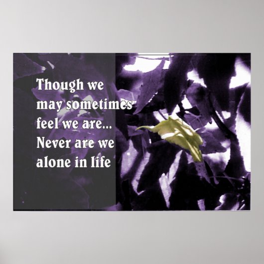 インスピレーション自然 ポスター (正面)