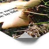 インスピレーション自然 ポスター (角)