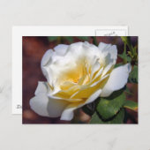 インスピレーション開花はがき ポストカード (正面/裏面)