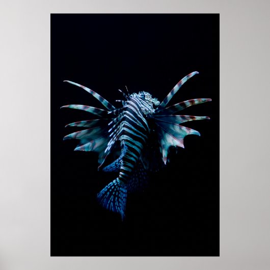 インスピレーション ポスター (正面)