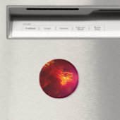 インスピレーション マグネット (インサイチュ (食洗機))