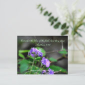 インスピレーションscriptreflowerはがき荒野 ポストカード (スタンド正面)