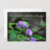 インスピレーションscriptreflowerはがき荒野 ポストカード (正面/裏面)