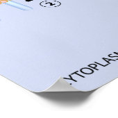 インスリン・グルコース取り込みポスター ポスター (角)