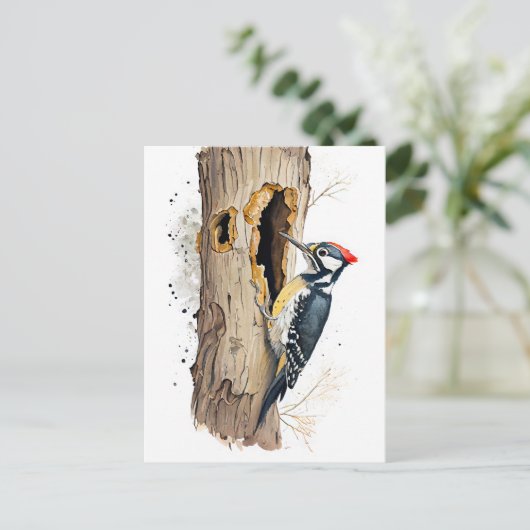 インセを探す水色ユーラシアのトレクレッパー ポストカード (スタンド正面)