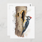 インセを探す水色ユーラシアのトレクレッパー ポストカード (正面/裏面)