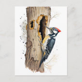 インセを探す水色ユーラシアのトレクレッパー ポストカード (正面)