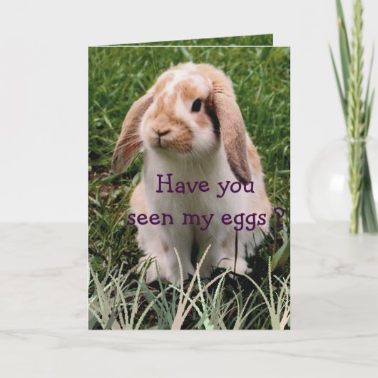 インタラクションカード シーズンカード (正面)