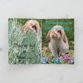 インタラクションカード シーズンカード (内部)