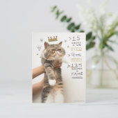 インターネット猫有名人 ポストカード (スタンド正面)