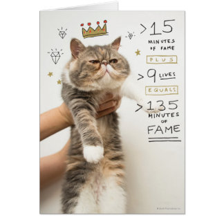 インターネット猫Celeberity