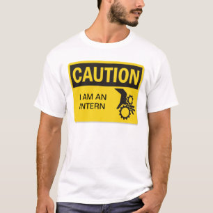 インターン Tシャツ
