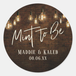 インダストリアルレンガ ヴィンテージエジソンライト ミントトゥビー ラウンドシール