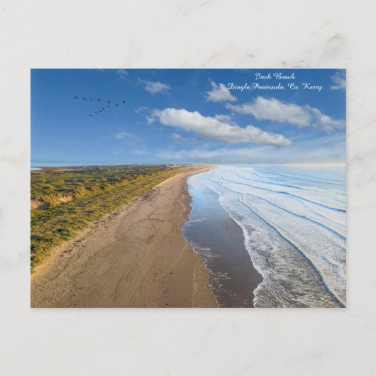 インチビーチコケリー シーズンポストカード (正面)