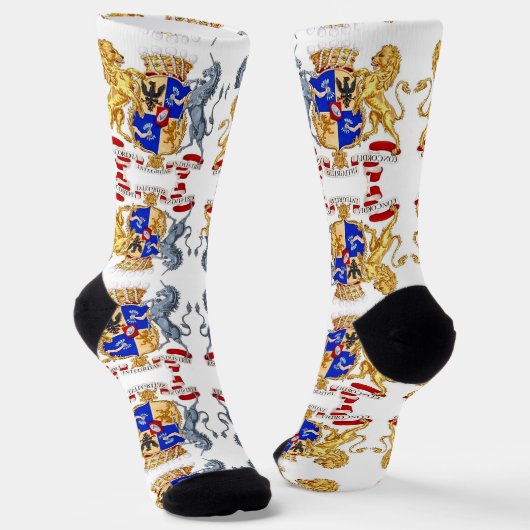 インテグリタソックス ソックス (傾斜あり)