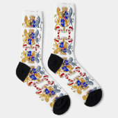 インテグリタソックス ソックス (右)