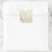 インテリアの北アメリカの一部 スクエアシール (バッグ)