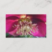 インテリアの繊細なヘレボア春の花 名刺 (裏面)