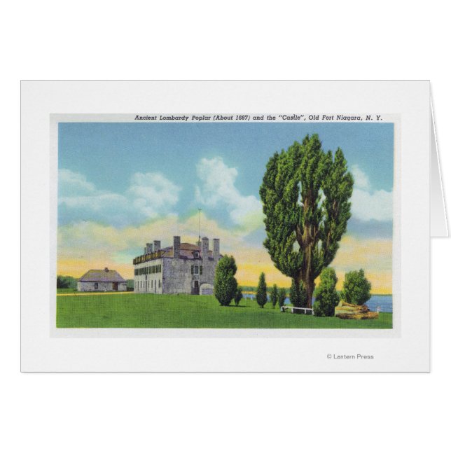 インテリアイエズス会堂オールドキャッスルフランスの (正面横)