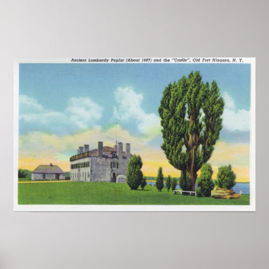 インテリアイエズス会堂オールドキャッスルフランスの ポスター (正面)