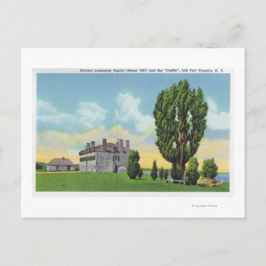 インテリアイエズス会堂オールドキャッスルフランスの ポストカード (正面)