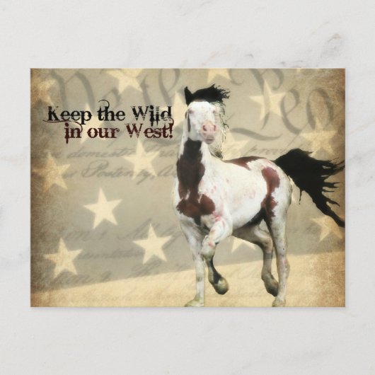 インテリア部門へのアドレス指定済みポストカード シーズンポストカード (正面)