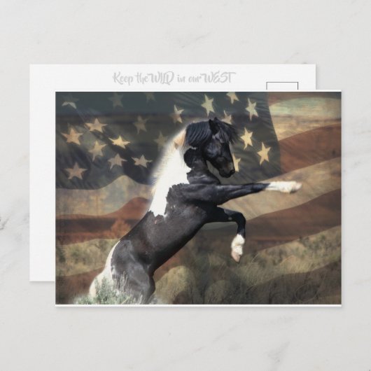 インテリア部門へのアドレス指定済みポストカード シーズンポストカード (正面/裏面)