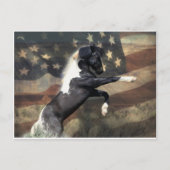 インテリア部門へのアドレス指定済みポストカード シーズンポストカード (正面)