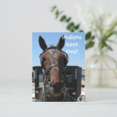 インディアナだ！ ポストカード (スタンド正面)