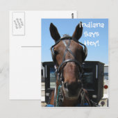 インディアナだ！ ポストカード (正面/裏面)
