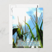 インディアナのトウモロコシ ポストカード (正面/裏面)