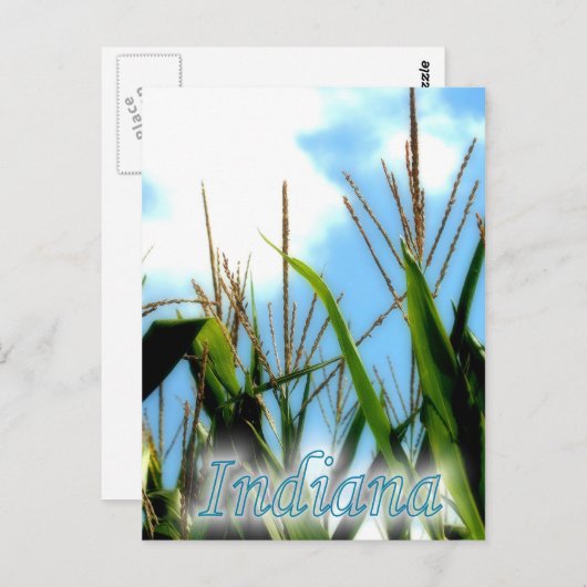 インディアナのトウモロコシ ポストカード (正面/裏面)