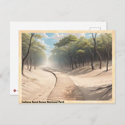 インディアナサンドダニーズナショナルパークヴィンテージトラベル ポストカード (正面/裏面)