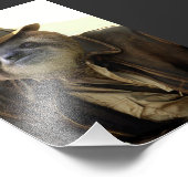 インディアナスロース フォトプリント            (角)