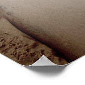 インディアナデュネス国立公園風光明媚なクリーク写真 ポスター (角)