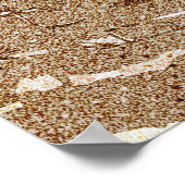 インディアナデュネス国立公園 ポスター (角)