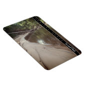 インディアナデュネス国立公園Scemic Creek写真Pos マグネット (右側)