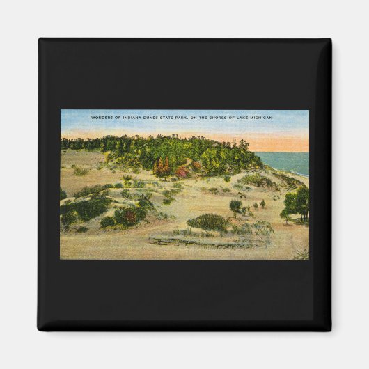 インディアナデュネス州パークレイクミシガンインディアナ マグネット (正面)