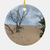 インディアナデューンズナショナルパークオーナメント セラミックオーナメント (裏面)