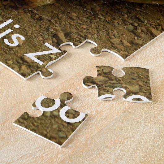 インディアナポリス動物園のカメ ジグソーパズル (側面)