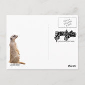 インディアナポリス動物園のミーアカット ポストカード (裏面)