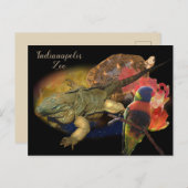 インディアナポリス動物園の爬虫類と鳥 ポストカード (正面/裏面)