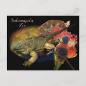 インディアナポリス動物園の爬虫類と鳥 ポストカード (正面)