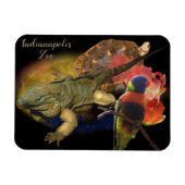 インディアナポリス動物園の爬虫類と鳥 マグネット (横)