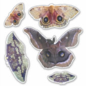 インディアナモスの写真 シール (正面)