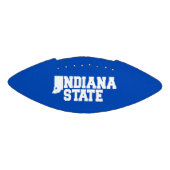 インディアナ州ロゴ アメリカンフットボール (パネル)