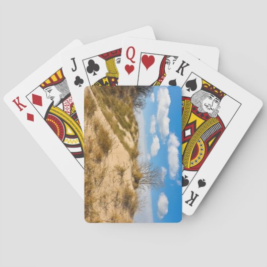 インディアナ，チェスタトン トランプ (裏面)