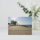 インディアナ・デュネス国立公園バルディ山の頂上 ポストカード (スタンド正面)