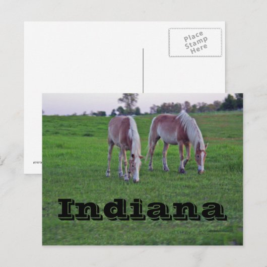インディアナ ポストカード (正面/裏面)